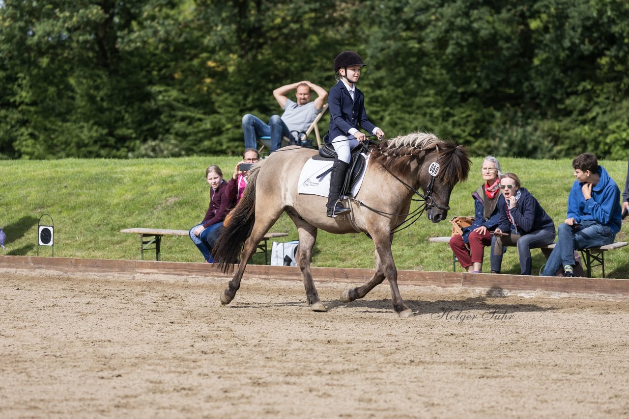 Bild 69 - Pony Akademie Turnier